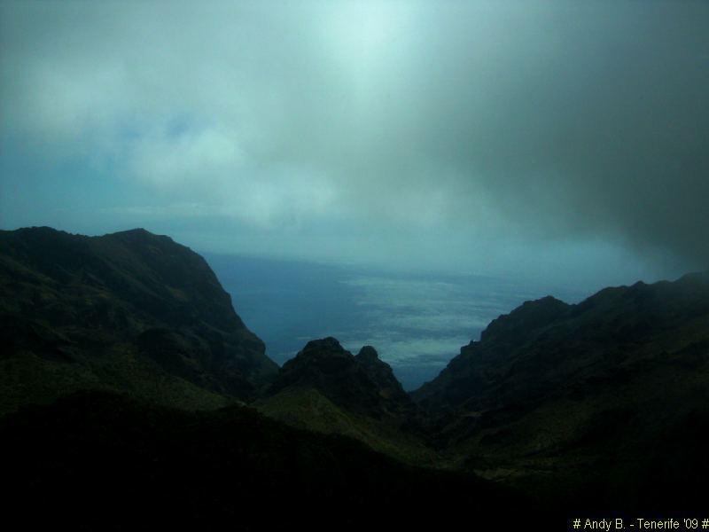 Découverte de Tenerife (49).JPG